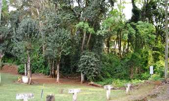 Imagem 4: Dois Irmãos - Terreno Padrão - Moinho Velho