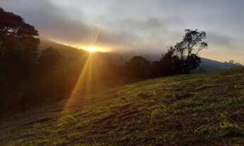 Imagem 3: PROMOÇÃO TERRENO DAS FLORES P 2