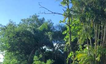 Imagem: Terreno na Ilha de Florianópolis