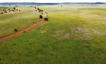 Imagem: FAZENDA DE 1.050 ALQUERES REGIÃO SUL DO