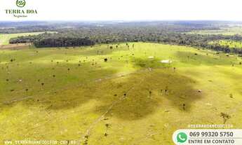 Imagem 7: FAZENDA 250 ALQUEIRES 180 ALQUEIRES EM CAPIM - PORTO VELHO/RO