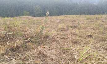 Imagem 7: Terreno a venda na cidade de Mairiporã !!