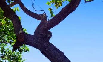 Imagem 5: Lote/Terreno para venda tem 150 metros quadrados em Jacauna - Aquiraz - CE