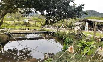 Imagem: Venda Chácara