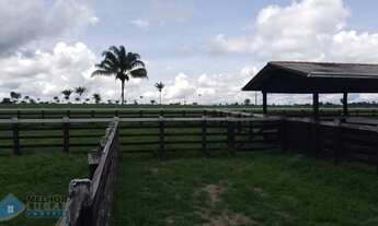 Imagem 10: Fazenda 210 alqueires Entre Espigão D' Oeste e Pimenta Bueno