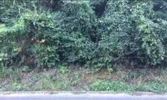 Imagem 3: Open House vende terreno de 1000m² na Avenida Principal de Itaocaia Valley