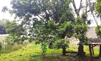 Imagem 4: Terreno 3.385m², Passo Fundo/RS