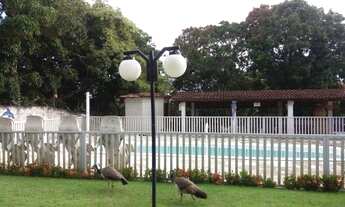 Imagem 3: Chácara em São Cristóvão