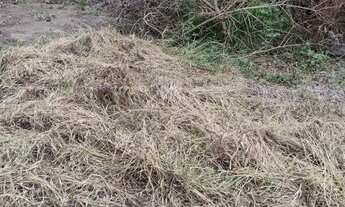 Imagem: O terreno venda ou troca uma moto