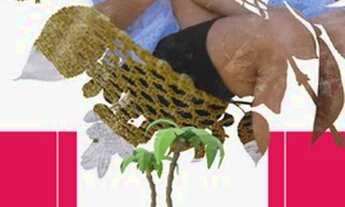 Imagem: Lote a prestação em Caldas Novas