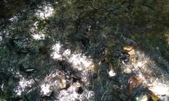 Imagem 6: São Miguel Arcanjo - Chácara - Zona Rural