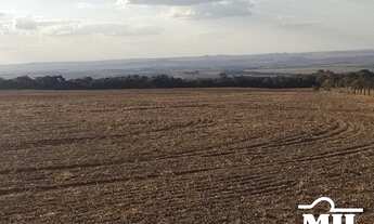 Imagem: Fazenda 14 alqueires ( 67,76 hectares )