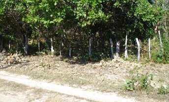 Imagem 3: Terreno zona rural de Timon , Povoado açude