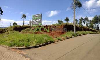 Imagem 2: Estância Velha - Terreno Padrão - Bela Vista