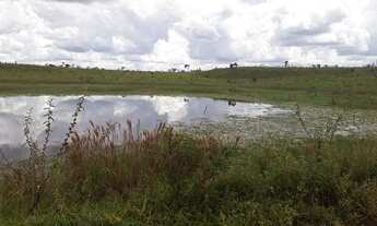 Imagem 3: Fazendinha Rural de 20.000m2 com doc. reguar, frente cercada, topografia plana ! Oportunid