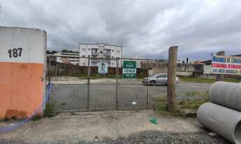 Imagem 5: JOINVILLE - Terreno Padrão - FLORESTA