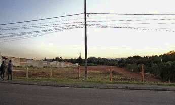 Imagem 5: QUATRO BARRAS - Terreno Padrão - quatro barras