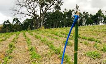 Imagem 7: Preço de lançamento