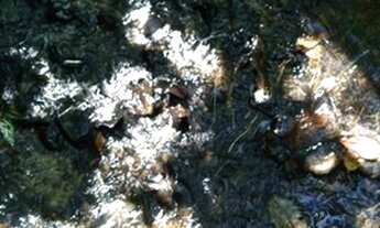 Imagem 5: São Miguel Arcanjo - Chácara - Zona Rural