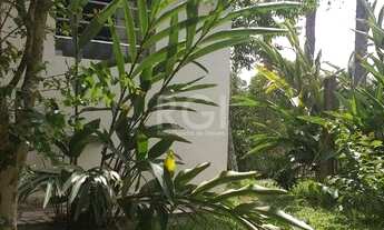 Imagem 6: Porto Alegre - Casa Padrão - São Caetano