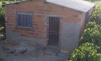 Imagem 5: Chácara com 600 pés de pimenta do reino