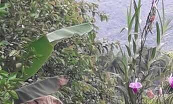 Imagem 4: GARUVA - Chácara - CENTRO