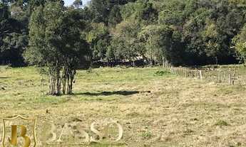 Imagem 5: Fazenda/Sítio/Chácara para venda com 10000 metros quadrados em Criúva