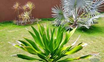 Imagem 6: Já pensou em sair da cidade e morar em um belissimo sitio com piscina privativa !!!!