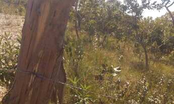 Imagem 4: Vendo Terreno de 1.000 metros. Bem localizado BR 190 perto do clube Gravatá