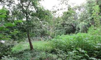 Imagem 3: Terreno para Venda em Cotia, Jardim Colibri