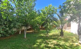 Imagem 3: Terreno com quiosque BARBADA