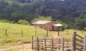 Imagem 2: Ótima fazenda em Goiás 256 Alqueires..