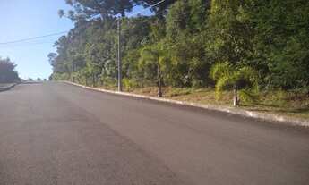 Imagem 4: Área à venda, 36000 m² por R$ 2.200.000,00 - Vale Verde - Nova Petrópolis/RS