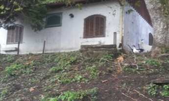 Imagem 2: Chácara para aluguel e venda tem 170 metros quadrados com 3 qts