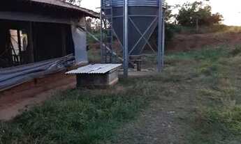 Imagem 6: Sitio de 2 alqueires com produção de frangos integrada - Duartina/SP
