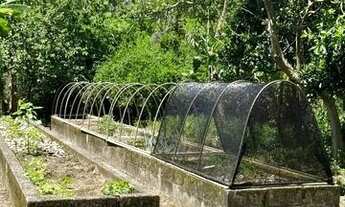 Imagem 6: FLORIANóPOLIS - Casa Padrão - Ratones
