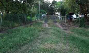 Imagem 2: Sitio de 2 alqueires com produção de frangos integrada - Duartina/SP