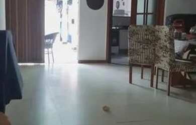 Imagem 6: Casa para venda possui 150 metros quadrados com 3 quartos em Arujá Centro Residencial - Ar