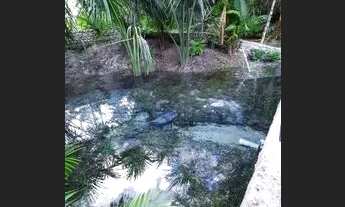 Imagem 5: Vendo piscina natural com olho d'água