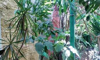 Imagem 5: Sobrado em Franca 5 dorm