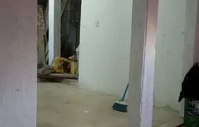 Imagem 5: Vende-se casa independente