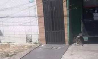 Imagem: Aluga-se linda Casa