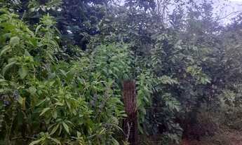 Imagem 3: Vendo tc chácara taboquinha 90mil Escriturada