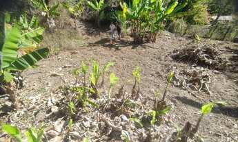 Imagem 5: Chácara 1100m Oportunidade