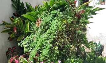 Imagem 3: Casa para venda com 240 m2 com 3 quartos suite garagens piscina em Armação - Salvador