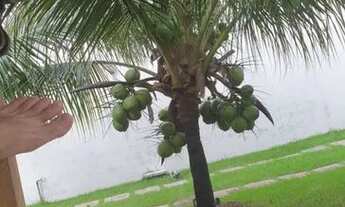 Imagem 5: CASA A VENDA EM AREIA PRETA