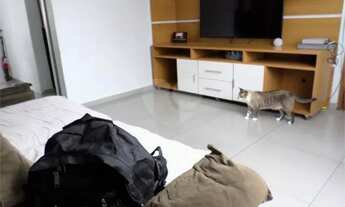 Imagem 2: Apartamento - 02 quartos - Del Castilho [ME