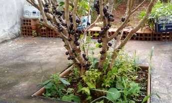 Imagem 6: Casa geminada sobrado Jardim Novo Sabara