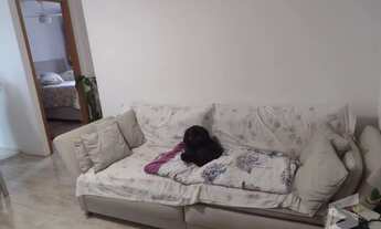 Imagem 5: Canoas - Apartamento Padrão - Igara