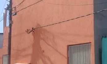 Imagem: Alugo apartamento em Felipe Camarão